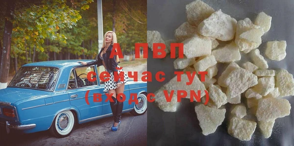 индика Беломорск