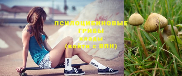 ешки Богданович